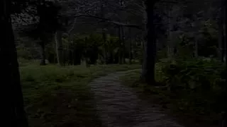 Mamada, Sexo En Grupo, Al Aire Libre, Shemale