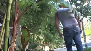 Das vollbusige T-Girl Jesse Flores reitet einen erigierten Schwanz in schwülem Analsex