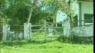 Crazy horse riding trip