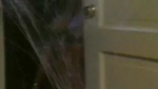 Ebony Shemale stopft Schlampe Muschi