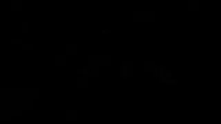 Ein Dildo in zwei transsexuellen Arschlöchern