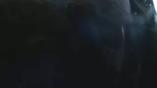 Store Pupper, Blondine, Transe