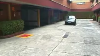 Two shemales eat one guy