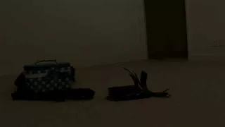 Luscious Tranny In Stockings Solo