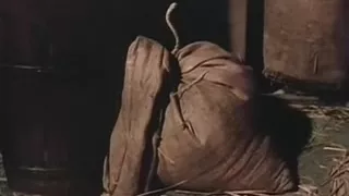 Dinner and wife.that what I call good pitality