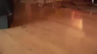 Charley Chase plowed real deep and hard