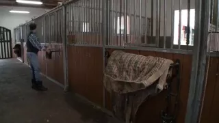 Exotic honey plowed in her tight pussy