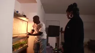 Randy minx hammered by ebony dude