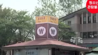 Collection Beauty Korean Sex No. Korean Porn