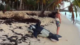 Riding an inflatable whale at the beach - nonpop