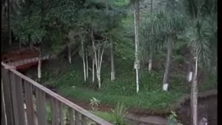 Langhaariger Kerl bohrt transsexuelles Babe von behimd