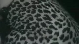 Enjoy a hot fucking with a vintage tranny