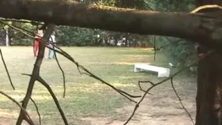 Öffentliches Ficken in einem Park
