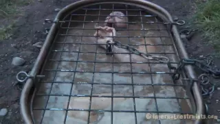 Wet from salacious torture