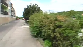 Wild blowjob outdoors