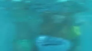 Horny Japanese beauties play all naked in the ###l