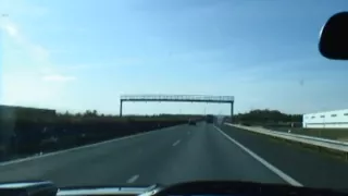 Two wild and lovely babes