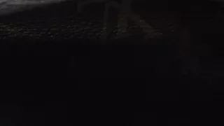 Bella in naughty amateur couple having sex in their car