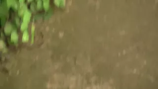 Leila in gal wore stockings xxx while making amateur video