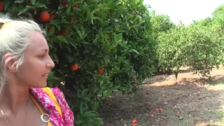 Anabell & Aspen & Jocelyn in hardcore fucking in an outdoor sex scene