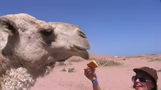 Aurita in porn travel video with a pair of lovers having sex