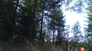 Dulsineya & Jewel & Liana & Lola & Raffaella & Vlaska in lesbian outdoor young sex video