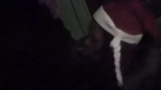 Atlantida & Mayola & Meadow & Sandy & Sweet Blonde in hot student fucking in a lusty porn scene