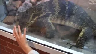 Ester in hard fuck scene in a homemade porn video