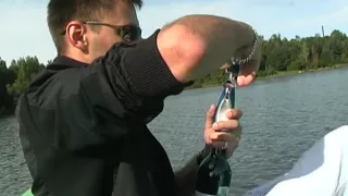 Cofi in amateur sex vid of a couple shagging in a car