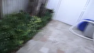 Teens play with dicks & dildos