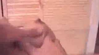 Geiles koreanisches Mädchen um große Krüge shaged