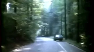 Sommer Voller Leidenschaft...