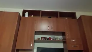 Cute punk tattooed immature gets 2 facual cumshots