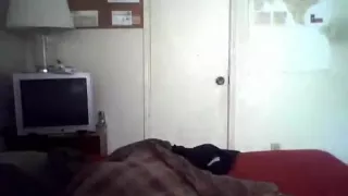 Texas college playgirl takes it ebon