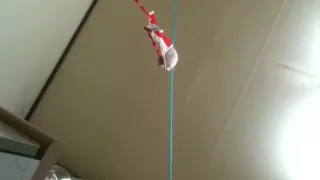 Asian couple dorm room xxx movie