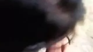 Youthful immature suck big dong outside school