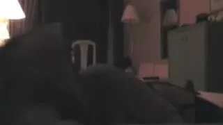 long oral pleasure stimulation wife night