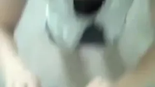 immature Bitch Oral-Stimulation - part 2