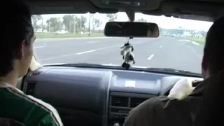 Ride Golden-Haired and Gagged