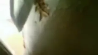 immature pair busted fucking in the shower