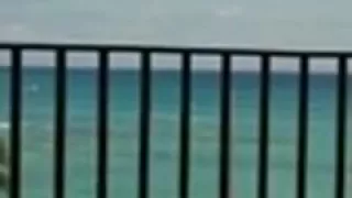 Hotty gives vacay blow job