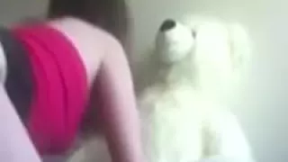 Teddybear receives laid