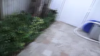 Teens truned into sluts