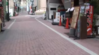 Wild sensations in the car