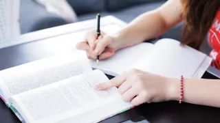 Pecker riding delight