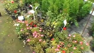 Lusty blowjob with hardcore sex