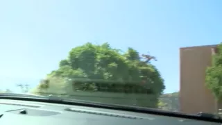 Intense and savvy fornication