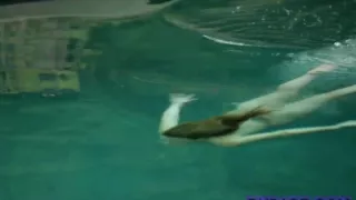 Dreamy young brunette beauty goes naked at the ###l