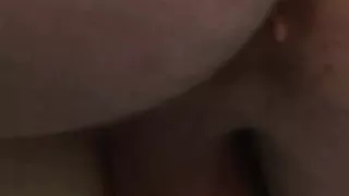 Schwule Bären tun, was sie tun, aus nächster Nähe