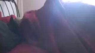 Blonde immature Morning Sex Creampie